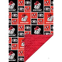 Future Tailgater Georgia Bulldogs Baby/Toddler Minky Blanket (36" x 28")