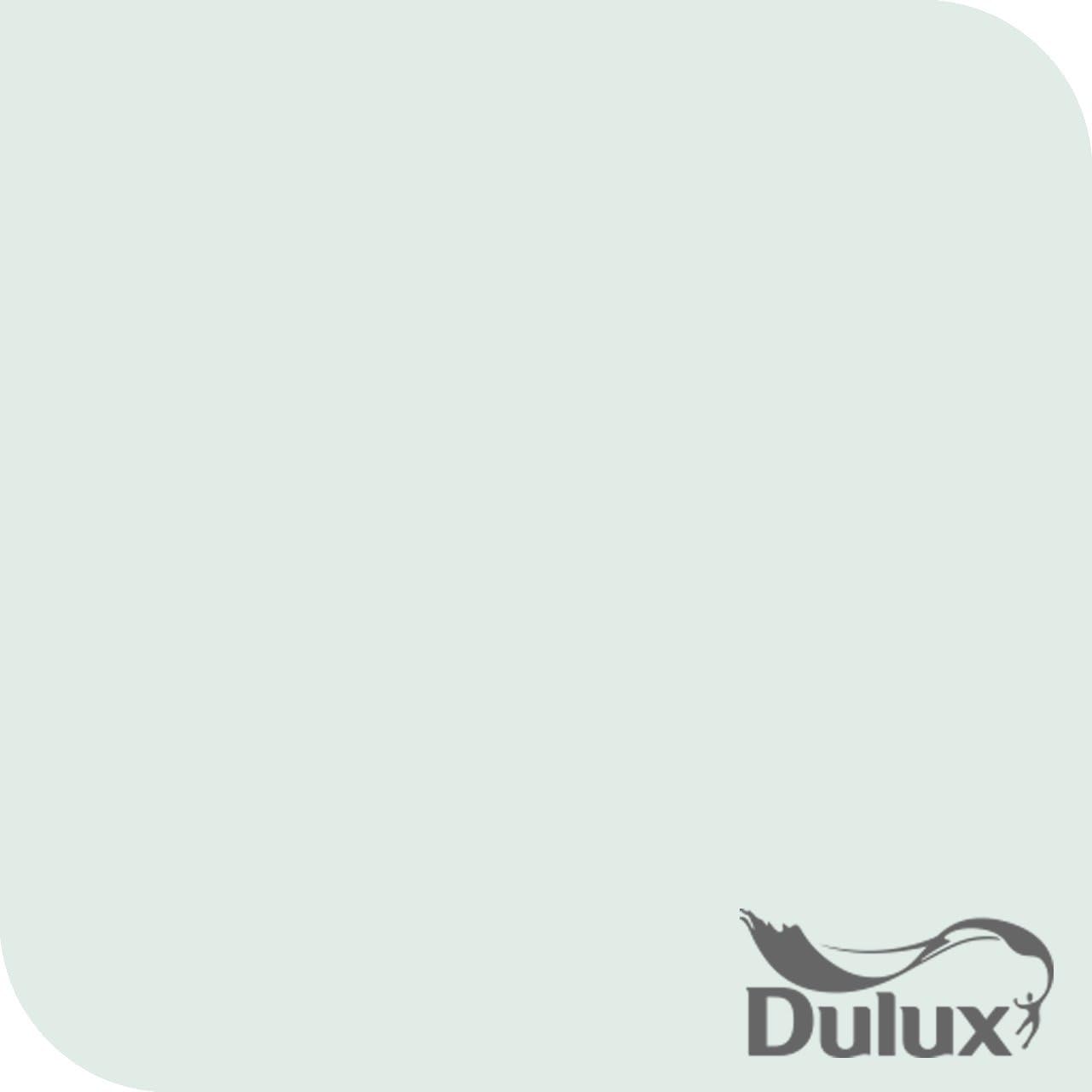 Dulux Colour Tester Jade White 30ml Amazon.co.uk DIY & Tools