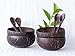Coconut Bowl and Spoon (Set of 4) - 100% Natural, Hand made, Polished with Coconut Oil, durable, lightweight, easy clean, long lasting, vegan friendly. For Breakfast, Serving, Decoration