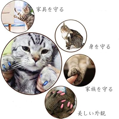 Amazon Tikdok 100個 ソフトペットキャットネイル キャップ 猫足グルーミングネイル爪キャップ 5種類のカバー 5枚 接着剤 M Tikdok 爪切り ネイルケア 通販