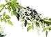 Sunrisee 2 Pcs Artificial Flowers Garlands 6FT Silk Wisteria Ivy Vine Hanging Flower Greenery Garland for Wedding Party Home Garden Wall Decoration, White