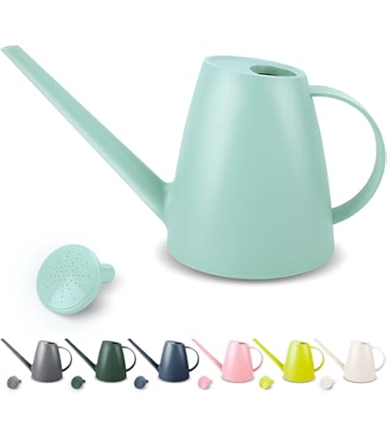 Amazon.com: Blomus Planto Stainless Steel Watering Can, 1 L