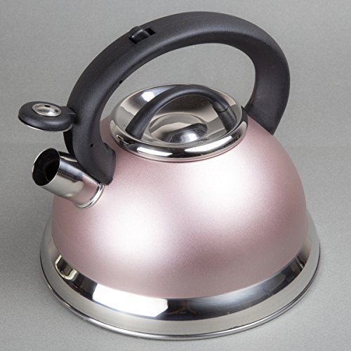 Creative Home 77069 Alexa Stainless Steel Whistling Tea Kettle with