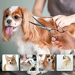 Dog Scissors for Grooming, INTINI 7.5 Inch Sharp