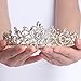 Sppry Gorgeous Baroque Rhinestone Tiara Crown for Bridal Princess Women at Wedding Birthday Pageant (Gold)
