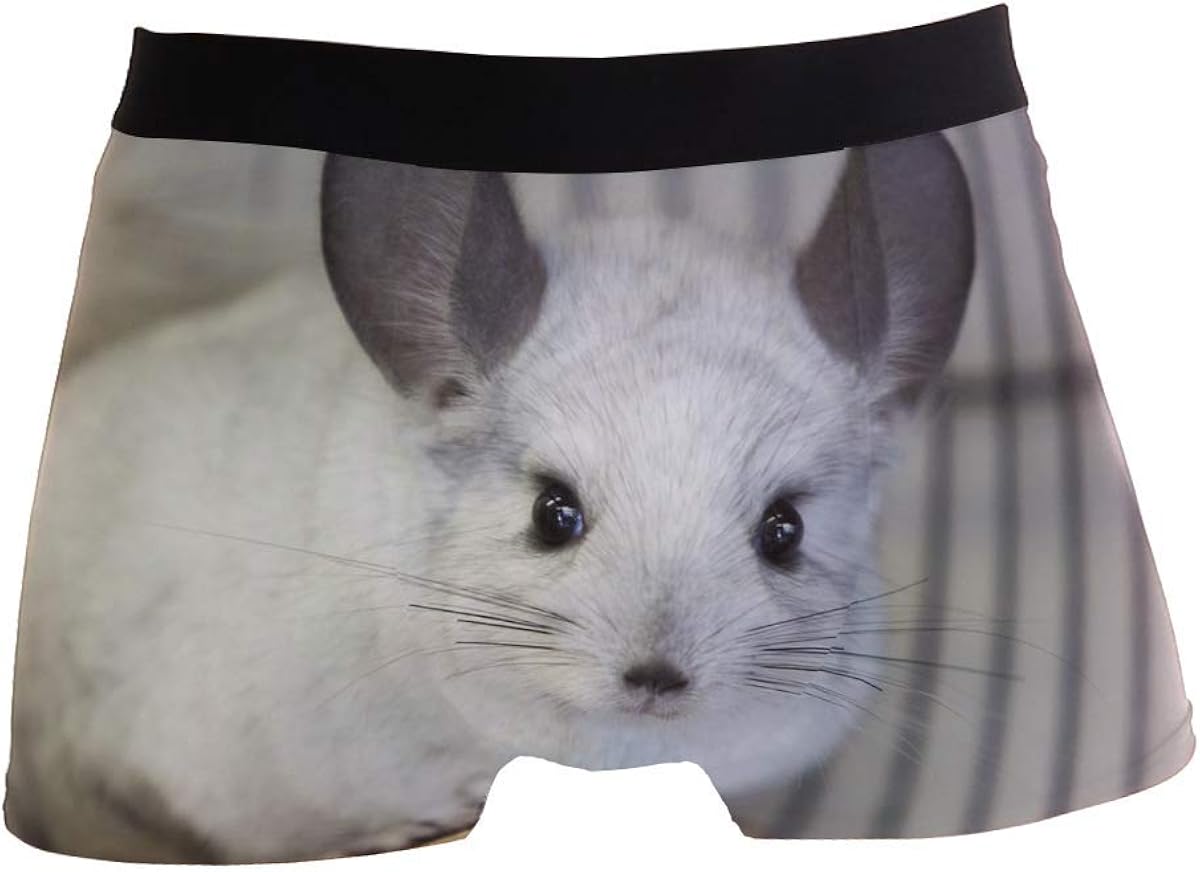 LREFON Lovable Chinchilla Men 's Boxer Briefs Regular Soft Traspirante