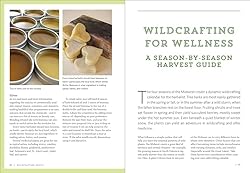 Midwest Medicinal Plants: Identify, Harvest, and
