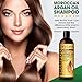 Moroccan Argan Oil Shampoo - Premium Salon Quality Sulfate Free Shampoo for Hair Loss Treatment, Thickens, Strengthens All Hair Types, Leaves Hair Smooth, Huge 16 oz (473 ml) Bottle