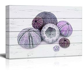 Canvas Wll Art - Urchins on Vintage Wooden Feeling Background - Giclee Print and Stretched Gallery Wrap | Modern Home Art Ready to Hang - 12"x18"