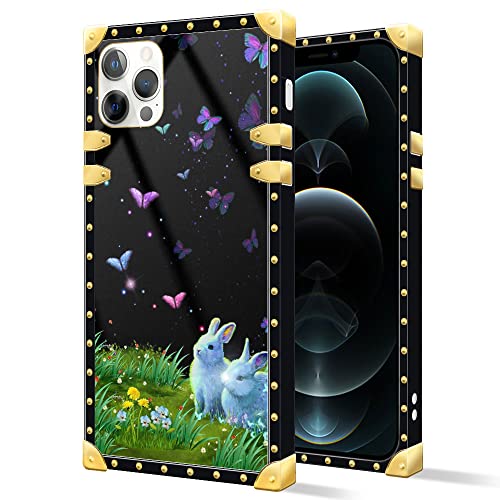 DAIZAG Case Compatible with iPhone 11 Pro,B Rabbit