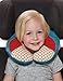 Skip Hop Zoo Little Kid and Toddler Travel Neck Rest, Soft Plush Velour, Multi Otis Owl