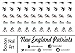 NFL - New England Patriots Waterslide Nail Decals - 50pc