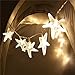 echosari Battery Operated Warm White 30 LED Fairy String Lights Starfish Shaped with Remote Indoor&Outdoor Used for Christmas, Party, Wedding, New Year Decorations, Etc