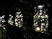 6 Pack -Solar Mason Jar Insert Lids - LED Mason Jar string light for Glass Mason Jars - Solar Pathway Garden Lights for all occasion parties -Jar Hangers Included Qty -6