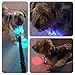 K9konnection Flashing LED Safety Lights for Dogs & Cats with On/Off Switch (2-Pack) | Attachable to Leash or Collar with Clip On Hook | Superior Visibility for Night Walks