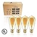 Vintage Edison Dimmable LED Light Bulbs, Palawell 7W (70 Watt Equivalent) Antique Amber Gold Filament Light Bulb, Warm Color 2400K - 30,000 Life Hours - 500 Lumens - ST64 E26 Base - UL Listed (4-Pack)