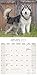Alaskan Malamute Calendar - Breed Specific Alaskan Malamutes Calendar - 2016 Wall calendars - Dog Calendars - Monthly Wall Calendar by Avonside