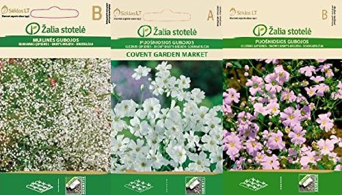 Seklos LT GYPSOPHILA Seed Collection - 3 in 1 Packet