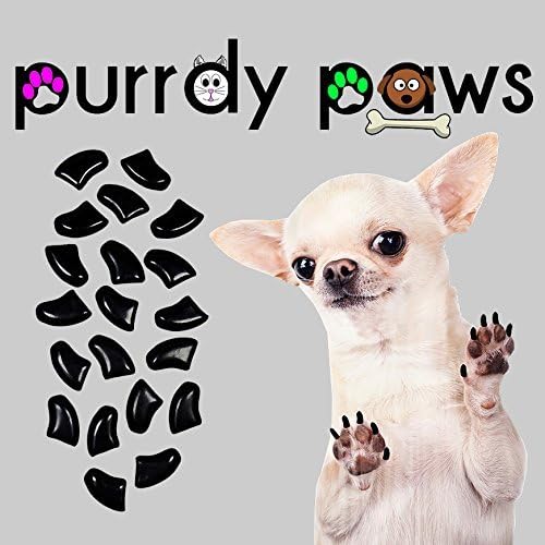 purrdy paws soft dog nail caps