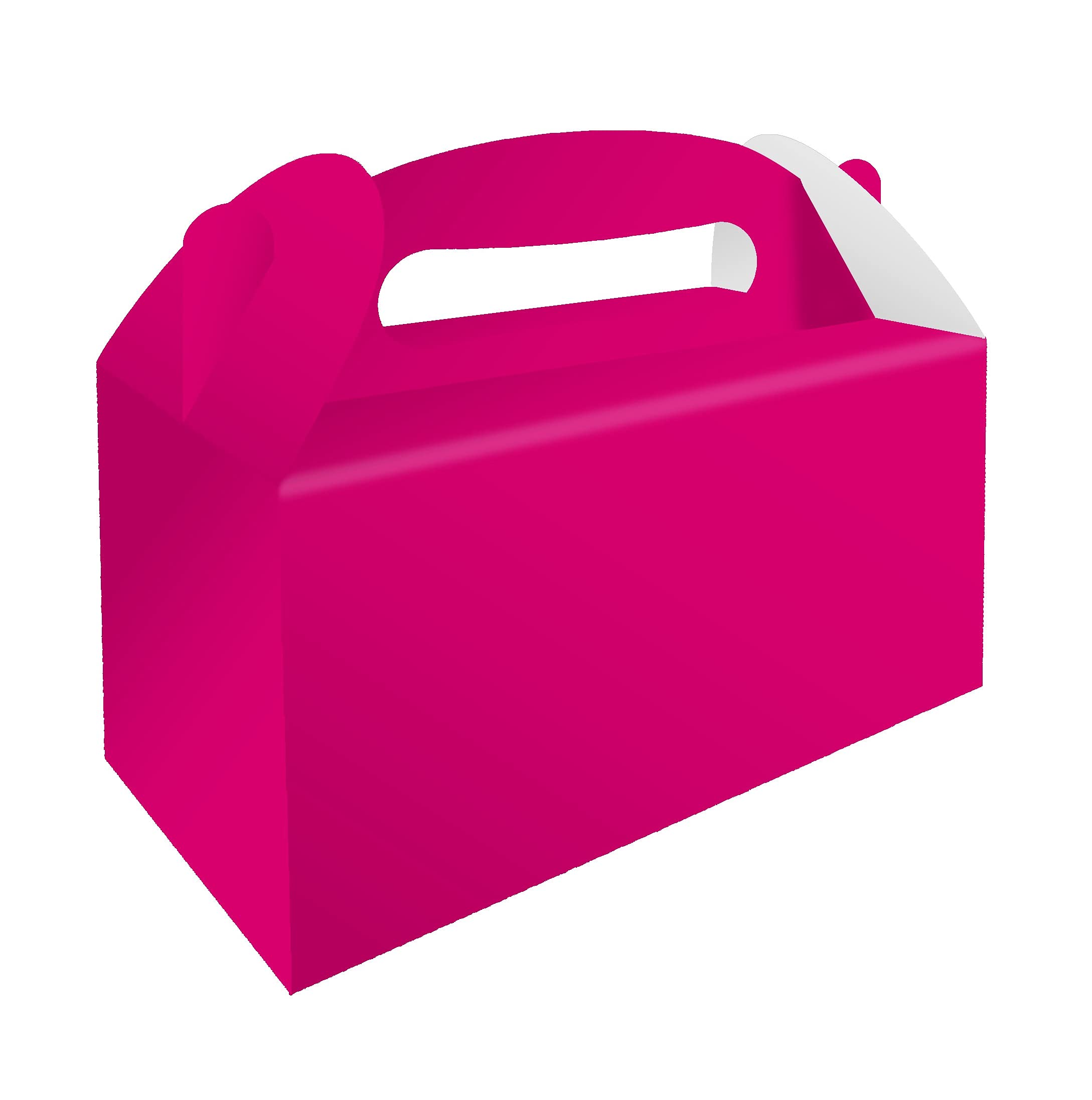 12 x Lunch Boxes (Large)