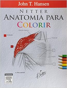 Netter Anatomia Para Colorir Pdf Download Gratis