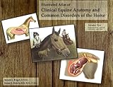 Illustrated Atlas of Clinical Equine Anatomy and Common Disorders of the Horse Vol. 2 : Reproduction, Internal Medicine and Skin, Riegel, Ronald and Anatomical Chart Company Staff, 0965446115