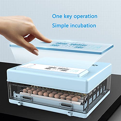 FHISD Brutmaschine Brutmaschine mit hoher Kapazität 432 Eier Brutmaschine Digitalanzeige Automatische Temperaturregelung… – Bild 3