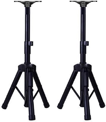 speaker platform mount