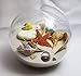 Dune Design Studios, Inc. Sand & Shell Sandglobe Paperweight 4-inch White Sand