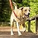 RUFFWEAR - Chain Reaction, Twilight Gray, Medium