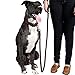 Logical Leather Padded Dog Collar - Best Full Grain Heavy Duty Genuine Leather Collar - Brown - Large