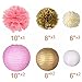 Bachelorette Party Decorations, Bachelorette Party Favors, Engagement Party Decorations - Party Decoration 17 Piece Kit by Gadeo Paper Flowers, Pom-Pom Lanterns, Banner, Variety of Colors, Multi Use