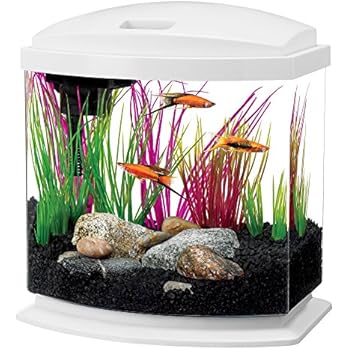 Aqueon LED Minibow Aquarium Starter Kits with LED Lighting, 2.5 Gallon, White