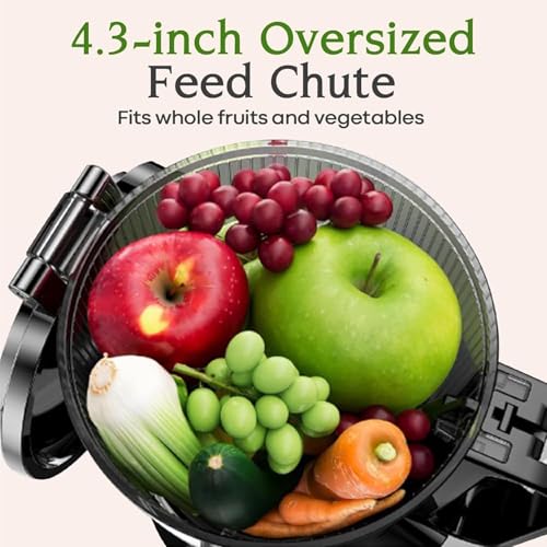 Anybear Cold Press Juicer, 200W Slow Masticating Juicer 4.3" Large Feed Chute Fit Whole Fruits Vegetables | Upgraded Auger | Tritan Materials | BPA Free | Easy to Clean with Brush (Silver Gray)