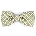 Martha Stewart Bow Tie Pet Collar Accessory Set, One Size