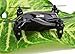 NiGHT LiONS TECH Shocking ! X165 Mini Pocket Drone Top 2.4G RC 3D Tumbling Quadcopter Newest
