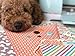 Miss Kate Cuttables Paper & Sticker Kit - Dog Gone Cute - 17 Double-Sided 12x12 Papers with 33 Designs & 1 8X12 Sticker Sheet - Scrapbooking Card Making Crafting