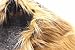 Petony Pet Costume Lion Mane Wig Hair for Dog Christmas Xmas Santa Halloween Clothes Festival Fancy Dress Up (NeckCircumference(27-29)Inch)