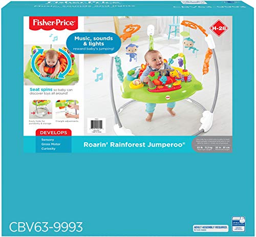 fisher price cbv63