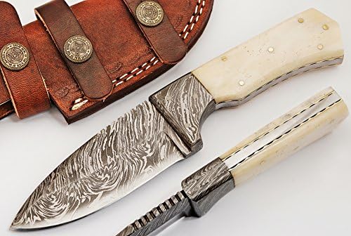 SharpWorld Beautiful Damascus Knife Made Of Remarkable Damascus Steel Multi Handles -Best Hunting Knife With Sheath TJ103 (Camel Bone)