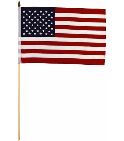 Bandierina Su Bastone Di Legno, Stato Dell'Illinois (USA), Dimensioni 12x18 Pollici, 100% Poliestere. Trade Winds.