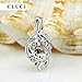 NY Jewelry 925 Sterling Silver Blossom Flower Design Pearl Cage Locket Pendants for Women Jewelry Making