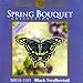 Black Swallowtail Butterfly Beaded Counted Cross Stitch Ornament Kit Mill Hill 2011 Spring Bouquet MH18-1103