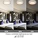 VICNIE 20W LED Ceiling Light, 14 Inch Flush Mount Lighting Fixture,1400 Lumens 3000K Warm White, Dimmable, ETL Listed for Kitchen, Hallway, Bedroom, Stairways (Metal Body and Acrylic Shade)