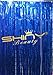 ShinyBeauty Tinsel Foil Fringe Curtain 3FTx8FT RoyalBlue Door Window Curtain/Backdrops Party Decoration (Royal Blue)