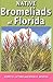 Native Bromeliads of Florida