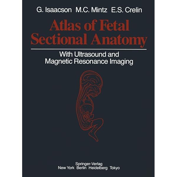 Cross-sectional Anatomy: Computed Tomography and Ultrasound Correlation Carter， Barbara; etc. Cross-sectional anatomy: Computed tomography and ultrasound