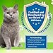 Milk Thistle for Cats - Milk Thistle Liver Detox Support, Organic Herb - Pet Wellbeing Vet-Formulated Holistic Supplement - 2oz (59 ml)