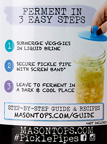 4 Pickle+Pipe+One+Piece+Waterless+Fermentation