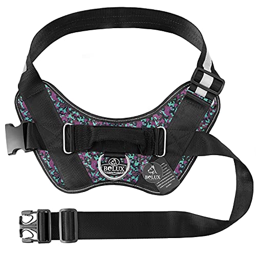 Easy Adjust Dog Harness at Jennifer Carter blog